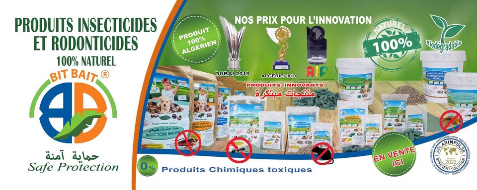 Bit Bait Algérie